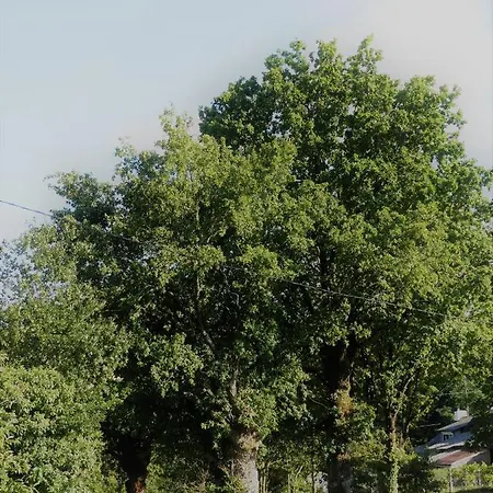 Jolie Longere Pres Canal Nantes-brest ' Petanque 別荘 Guenrouet