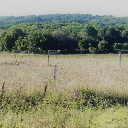 Jolie Longere Pres Canal Nantes-brest ' Petanque 別荘 Guenrouet