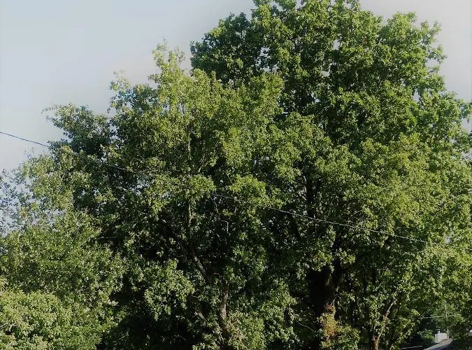 Jolie Longère Près Canal Nantes-brest ' Pétanque Hébergement de vacances Guenrouet