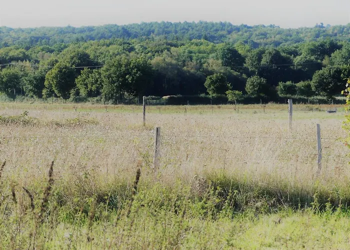 Jolie Longère Près Canal Nantes-brest ' Pétanque Hébergement de vacances Guenrouet