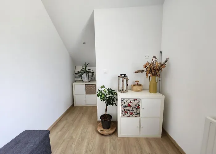 Jolie Longère Près Canal Nantes-brest ' Pétanque * Guenrouet